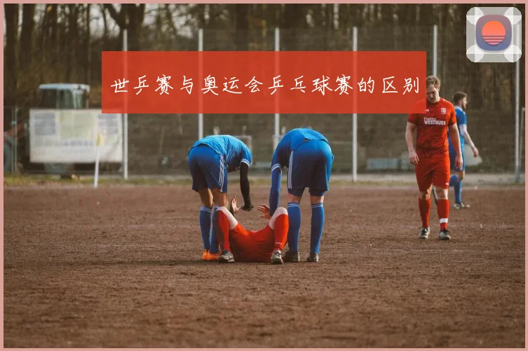 世乒赛与奥运会乒乓球赛的区别