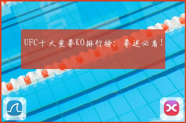 UFC十大重拳KO排行榜：拳迷必看！