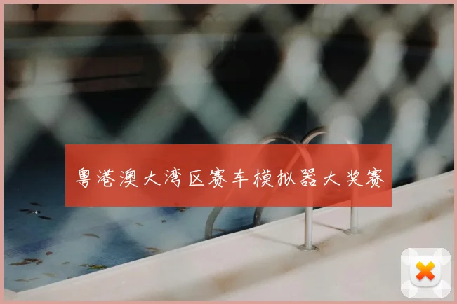 粤港澳大湾区赛车模拟器大奖赛
