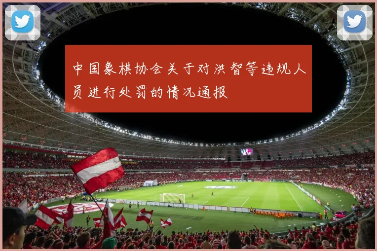 中国象棋协会关于对洪智等违规人员进行处罚的情况通报