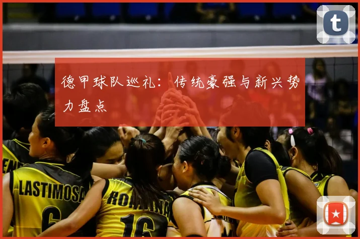 德甲球队巡礼:传统豪强与新兴势力盘点